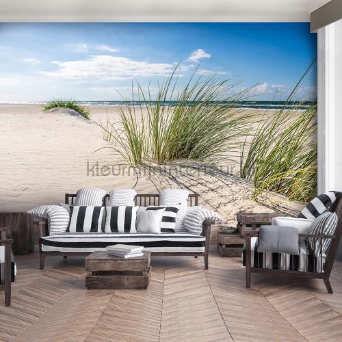 Dunes with blue sky photomural Landscape Kleurmijninterieur