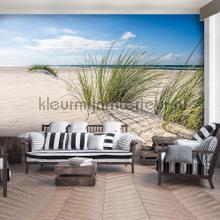 Dunes with blue sky photomural Sun - Sea - Beach Kleurmijninterieur