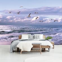 Sea birds papier murales Landscape Kleurmijninterieur