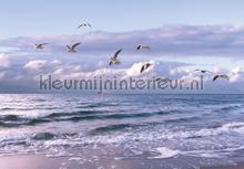 Sea birds fotomurales Landscape Kleurmijninterieur