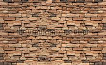 Rough wall fototapeten Kleurmijninterieur weltkarten 