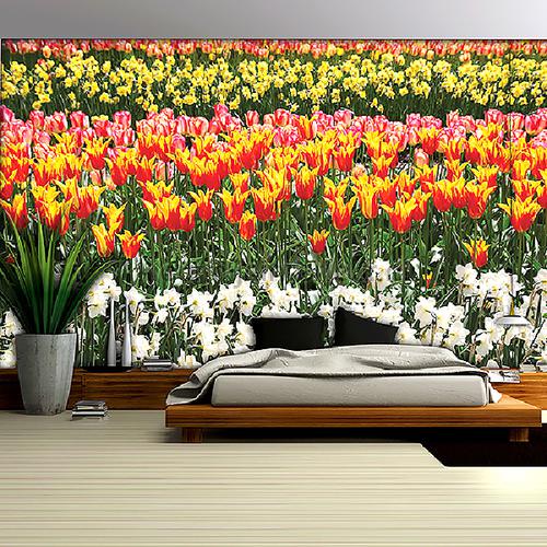 Dutch tulips fototapeten Landscape Kleurmijninterieur