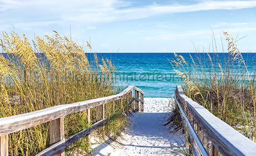 Walkway to the sea fototapeten Landscape Kleurmijninterieur