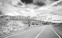 Road fotobehang Kleurmijninterieur Auto Transport 