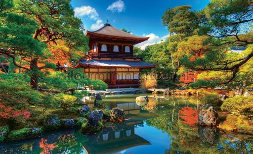 Japanese garden fotobehang Bossen Kleurmijninterieur