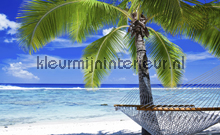 Beach, palms and hammock fotomurales Kleurmijninterieur Todas-las-imgenes