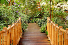 Jungle fotomurales Kleurmijninterieur Todas-las-imgenes