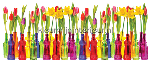 Tulip fotomurais fotomurais Top 15 Kleurmijninterieur