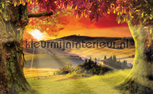 Tuscany sunset fotomurales Kleurmijninterieur Todas-las-imgenes