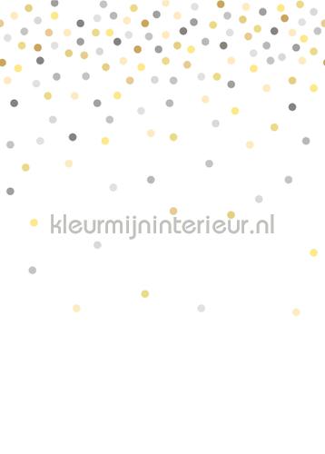 confetti dots geel en grijs fotobehang 153-158930 babykamer Esta for Kids