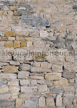 Ruwe stenen muur fototapeten Behang Expresse weltkarten 