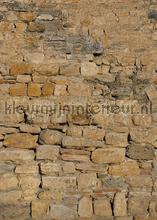 Warme ruwe stenen muur fototapeten Behang Expresse weltkarten 