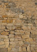 Warme ruwe stenen muur photomural ak1002 Stones - Concrete Behang Expresse