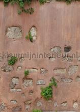 Buitenmuur met pleister en stenen photomural ak1003 Stones - Concrete Behang Expresse