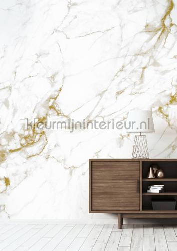 Marmer wit goud papier murales wp-554 classique Kek Amsterdam