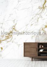 Marmer wit goud wallcovering Kek Amsterdam Marmer wp-554