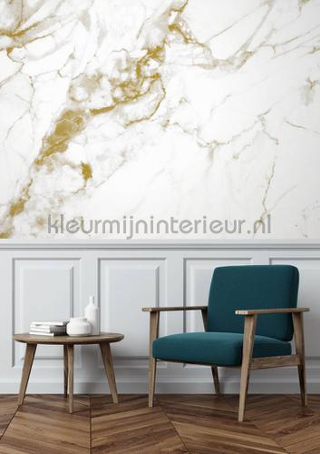 Marmer wit goud papier murales wp-555 Kek Amsterdam