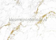 Marmer mosaic wit goud fotobehang Kek Amsterdam Modern Abstract 
