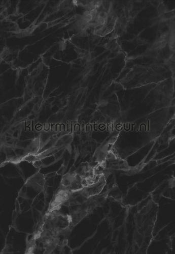 Verdorie Ontwarren verkiezen Marmer zwart grijs wp-560 photomural Marmer Kek Amsterdam