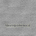 Phm-34 brick silver fotobehang Piet Hein Eek Steden Gebouwen 