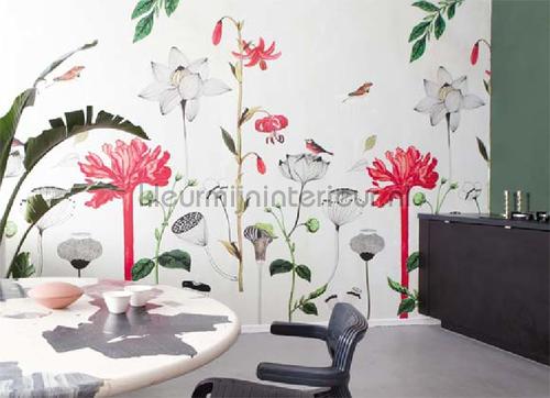  papier murales 532029 Most Fabulous Onszelf