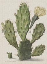 Blooming cactus photomural Dutch Wallcoverings Painted Memories 8013