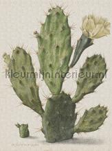 Blooming cactus fotomurali Dutch Wallcoverings Painted Memories 8013