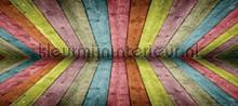 Gespiegeld gekleurde planken fotomurais AG Design telhas 