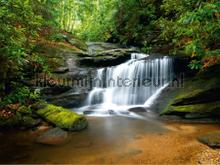 Waterval fototapeten AG Design weltkarten 