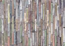 Sloopthout muur fotomurais AG Design telhas 