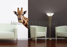 Giraf in beeld fotobehang ftn-v-2851 jungle AG Design