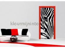 Zebra close up fotobehang ftn-v-2853 dieren AG Design