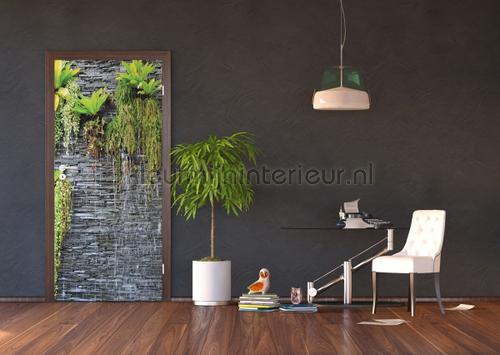 Hangplanten  muur fotomurali ftn-v-2889 Pietra - Calcestruzzo AG Design