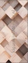 Diagonaal houtblok fotomurais AG Design telhas 