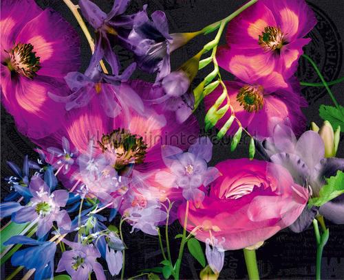 Paarse bloemen creatie op zwarte achtergrond fotomurais ftn-xxl-0389 Moderno - Abstrato AG Design