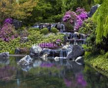 Waterval met paarse bloemen fototapeten AG Design weltkarten 