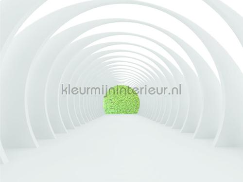 Groen in de diepte photomural ftn-xxl-1216 Graphic - Abstract AG Design