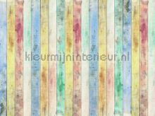 Gekleurde planken fotomurais AG Design telhas 