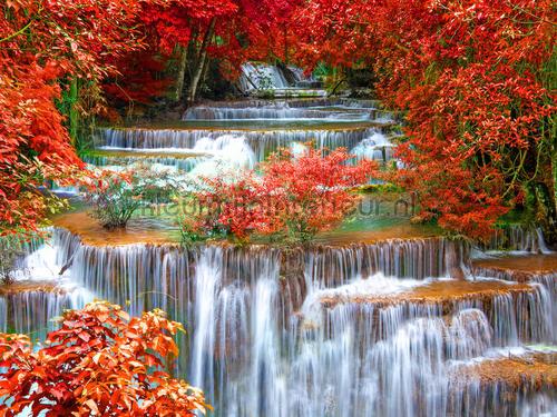 Waterfall with flowers fotomurales ftn-xxl-2437 Photomurals Premium Collection AG Design