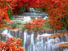 Waterfall with flowers fototapeten AG Design weltkarten 
