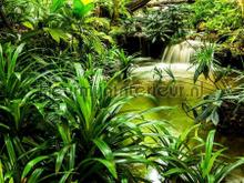 Tropische waterval fototapeten AG Design weltkarten 