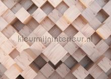 Houten 3d blokken structuur fotomurais AG Design telhas 