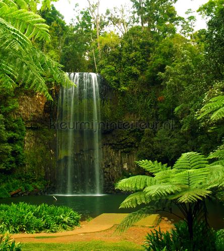 Green falls fototapeten wasserfall AG Design