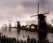 Windmills fotomurali AG Design Tutti-immagini