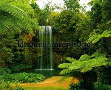 Green falls fototapeten AG Design weltkarten 
