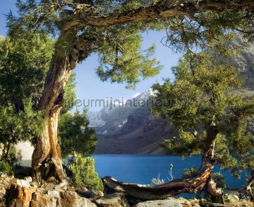 Lake at the forest fototapeten Photoprints wall collection AG Design