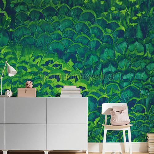 feathers wallcovering p019-vd2 Trendy Komar