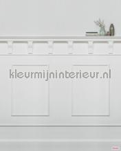 Pure wall fototapeten Komar weltkarten 