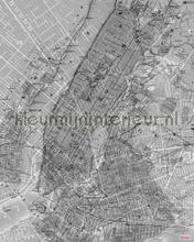 Nyc map fotomurali Komar Sun Mare Spiaggia 