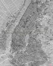 nyc map fotomurali p033-vd2 Pure Komar